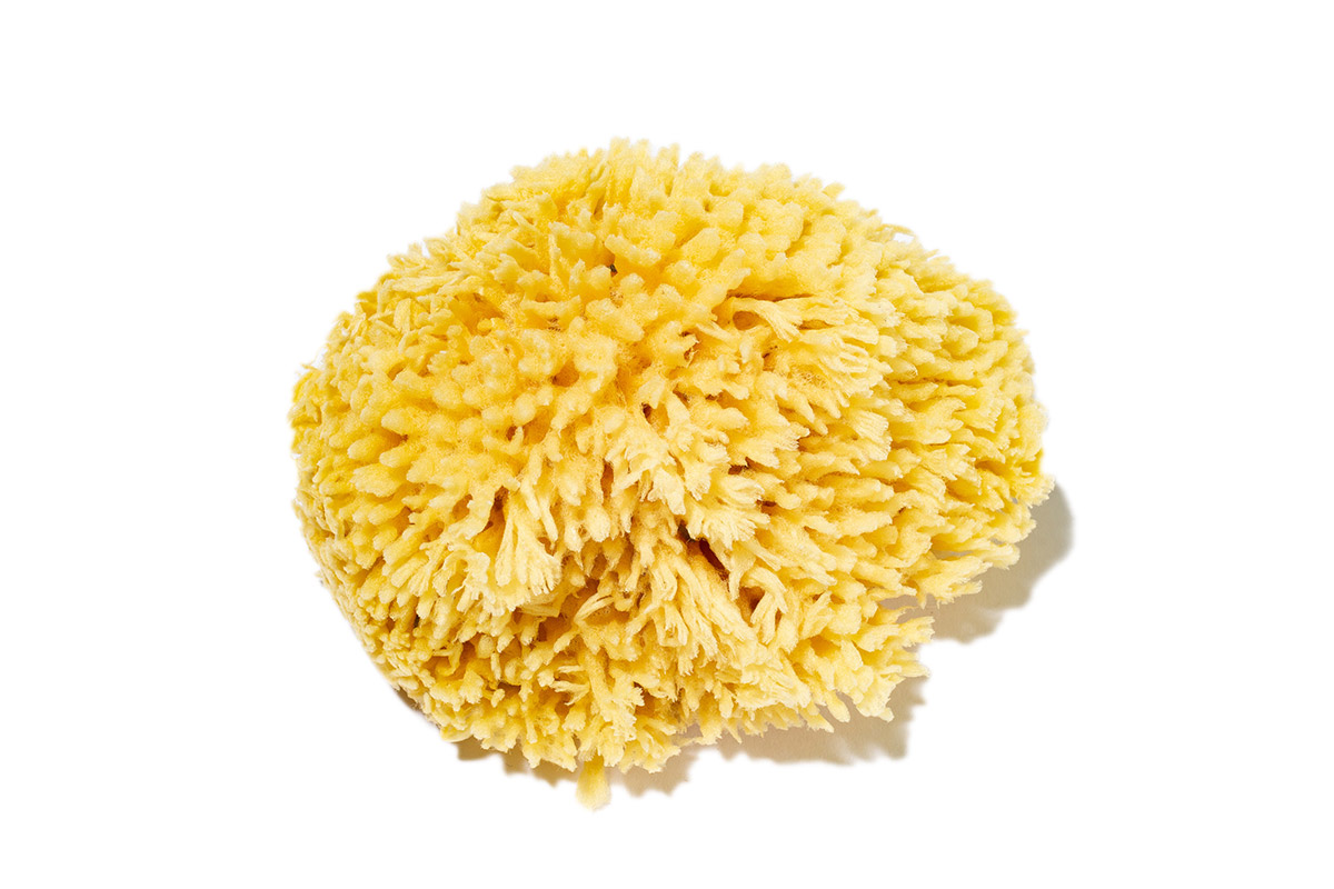 Wool Bath Sponge